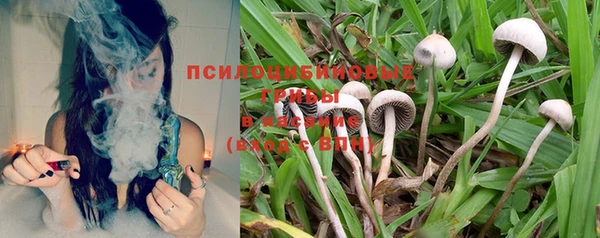 спайс Балахна