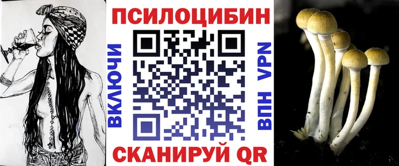 что такое   Кировск  Псилоцибиновые грибы прущие грибы 