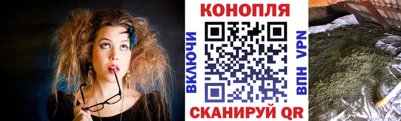 Канабис план  hydra ONION  Кировск  продажа наркотиков 